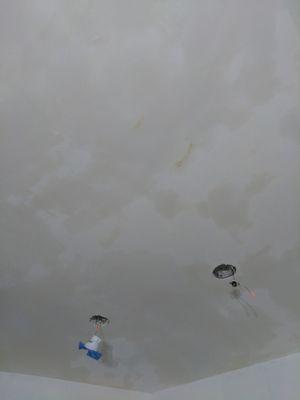 INTERIOR CEILING PLASTERING SERVICE