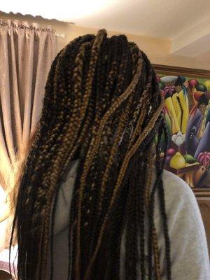 lazy thick braids that werent requested.