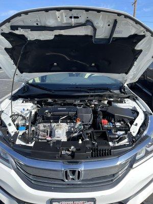 Engine Bay Detail