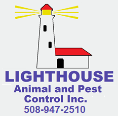 Lighthouse Animal and Pest Control