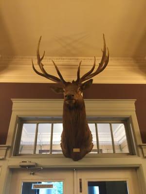 Elks Lodge