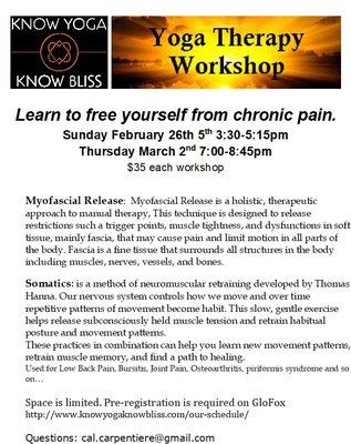 Yoga Therapy Workshop: Healing Chronic Pain