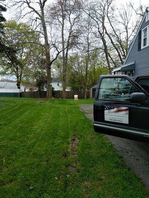 Fresh cut grass. Nice straight lines.