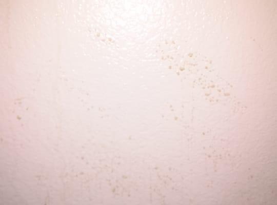 And more sludge. But they wont clean my room.