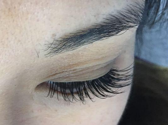 Classic lashes - Medium density.