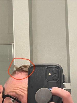 What is this 2" of hair just randomly sticking out?  First time using scissors?