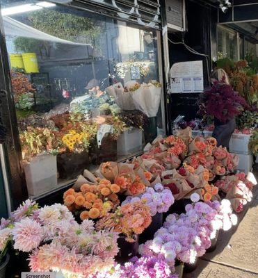 During the tour, immerse yourself in a kaleidoscope of vibrant colors and textures, courtesy of these extraordinary flowers.