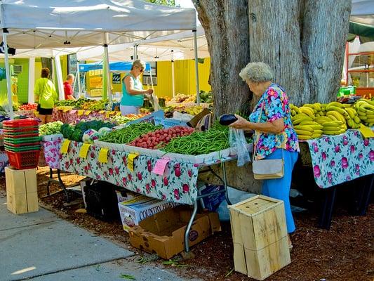 Lots of fresh produce is always available.