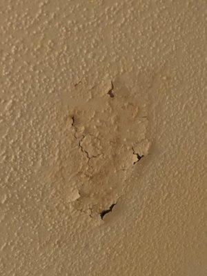 Mold in Bathroom one