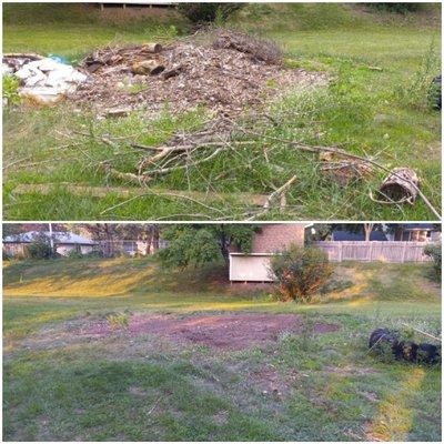 Yard debris removal-Burnsville