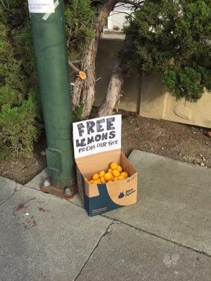 Unsuspecting Lemons outside of Sunset Estates...