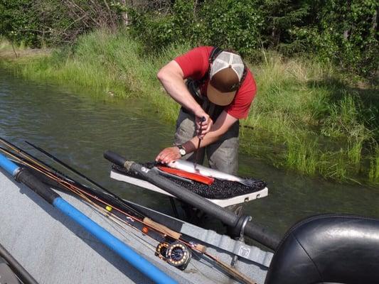 Prepping my just caught salmon, right there on the Kenai