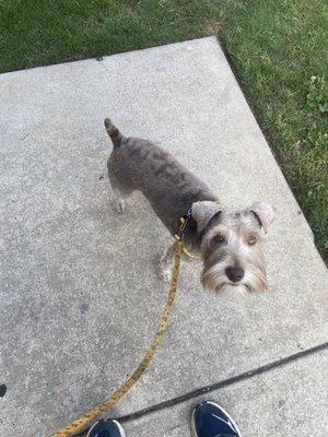 The $120 haircut