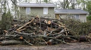 Storm Debris Removal