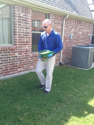 Applying insect granules around the perimeter of the home.