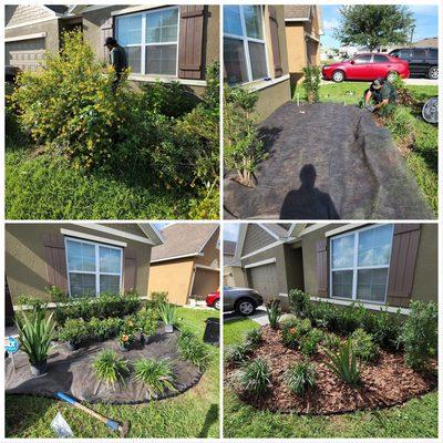 Overgrown weeds and garden clean up with new plants, bushes, and pine bark.