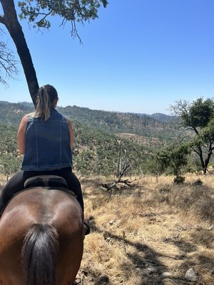 Lovely trail views