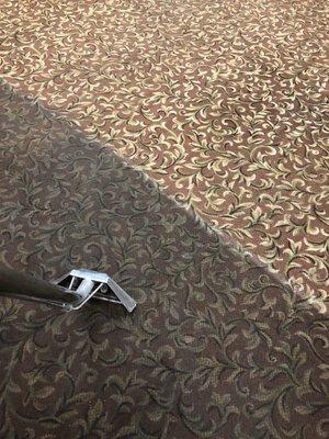 Kevin’s Carpet Cleaning & Flood Services