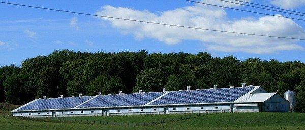 Emergent Solar helps Indiana dairy farms save on electric costs by switching to solar.