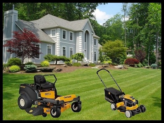 Georgetown SC Lawn Care