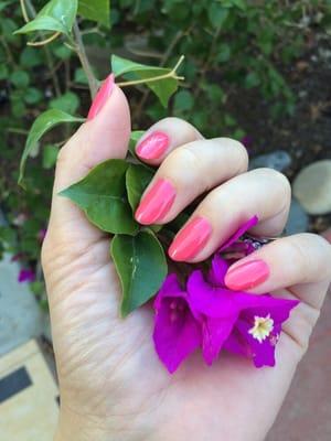 Tried out the pointy nails - loving the shellac and how shiny the polish is  --- these are my natural nails!!