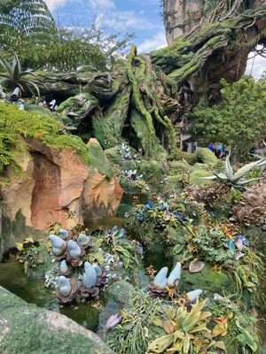 Pandora at Disney's Animal Kingdom Theme Park