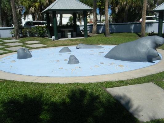 Cool manatee display