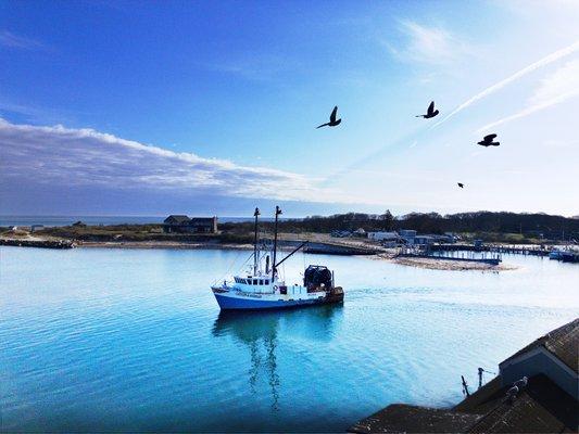 Supporting local fishermen with catches purchased directly from them.