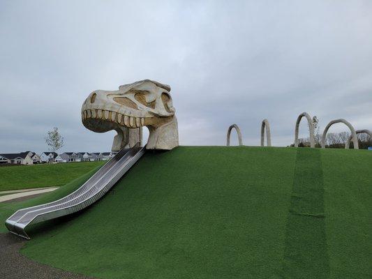 Dino slide