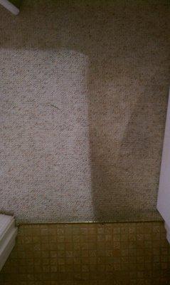 Before and After Carpet Cleaning