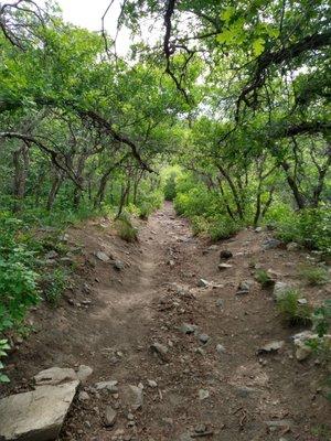 Sandy trail can be slick after rain, especially on the steeper parts.