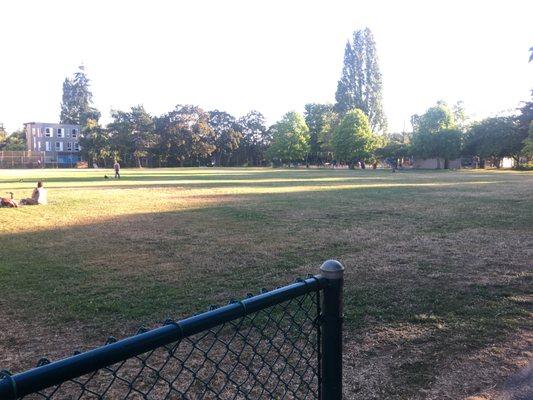 A view of the field from the northeast entrance.