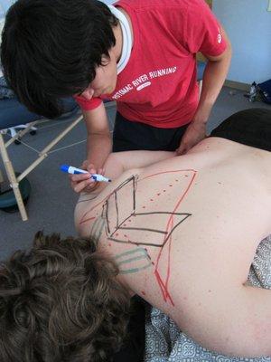 Creative ways to learn anatomy at the Boulder Massage Therapy Institute in Boulder, CO, United States.