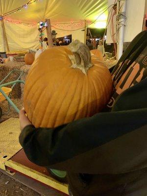 Picked our pumpkin!