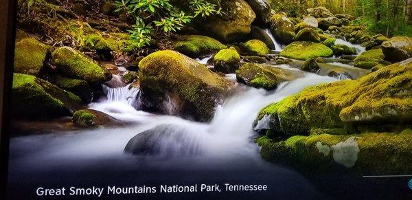 Great Smoky Mountains National Park, Tennessee