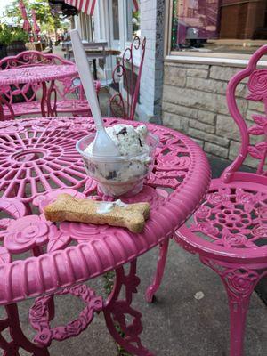 My ice cream and the very large milkbone included in my pup's ice cream cup 3