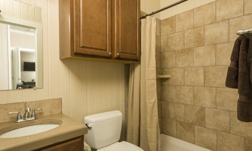 Shower/Tub combo bathroom