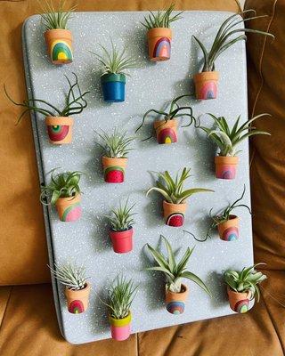 Hand-painted Air Plant Magets