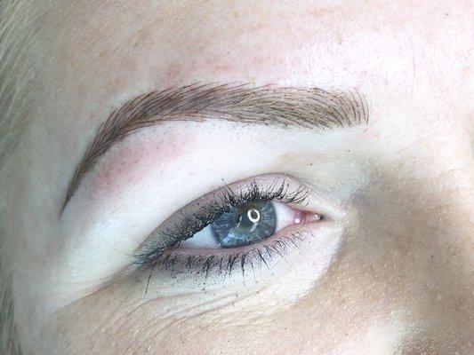 Hairstroke brows with small light shading