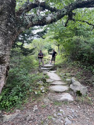 Andrews Bald Trail