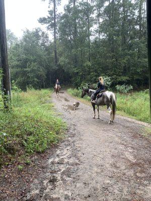 Out on the trails