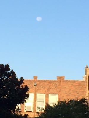 Blue moon over Trinity Episcopal church Galveston, Texas