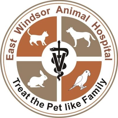 East Windsor Animal Hospital