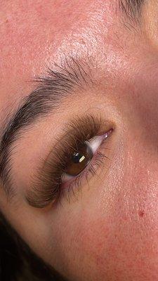 Brown Lash Extensions