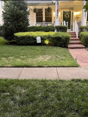 Dead grass AFTER "summer treatment" where they claimed they did not spray anything but security footage proves differently.