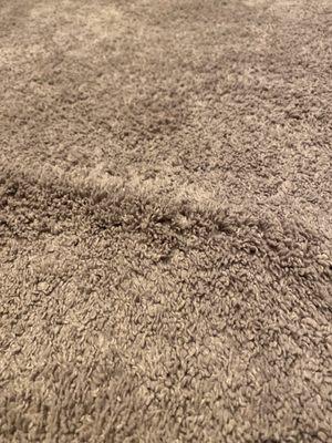 One of the many ridges in a poorly installed carpet.