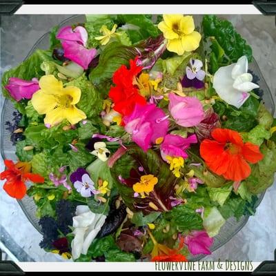 Garden Club students are taught to taste & try new whole foods, to eat unique plants. Here is the edible flower salad from their garden.