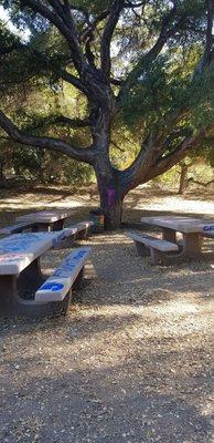 picnic benches covered in tagging and bridge completely missing near ravine that needs railing to be safe