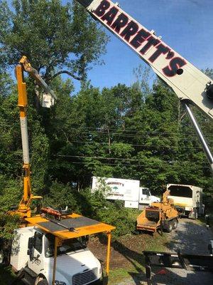 Barrett's Tree Service as they began work on our property.