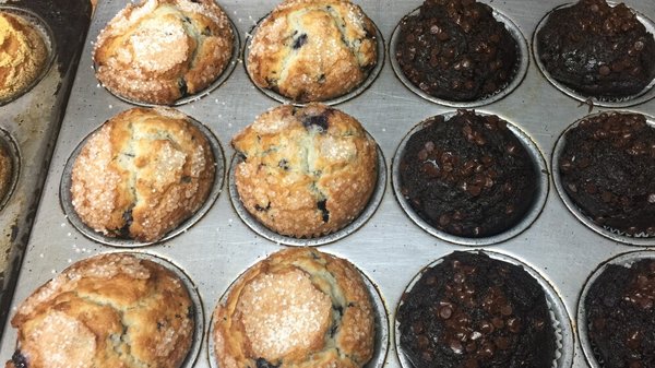 Freshly baked muffins daily.